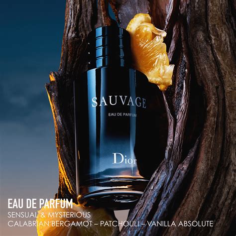 dior eau sauvage notes|Dior Sauvage smell like.